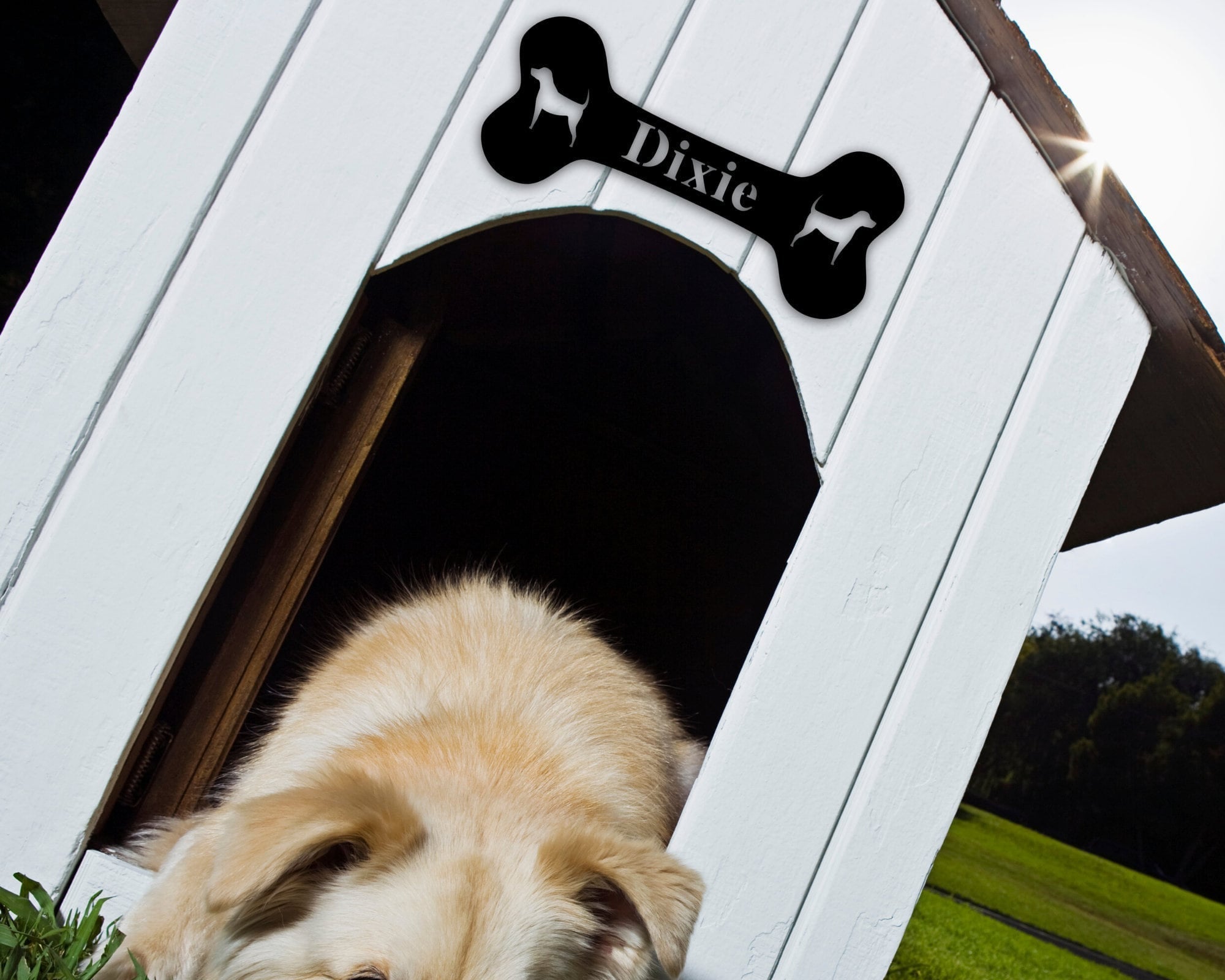 Personalized Dog Name Sign, Dog Bone Sign, Pet Name Sign, Dog Lover Sign, Personalized Dog Sign, Dog Kennel Sign Metal Dog Bone, Metal Laser Cut Metal Signs Custom Gift Ideas